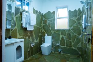 Walk-in shower and toilet at Villa Buffalo Upstairs