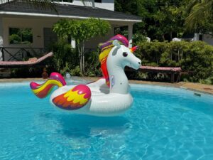Inflatable unicorn in the Coast Sun Gardens swimming pool