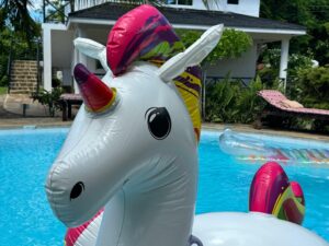Close-up of the inflatable unicorn in the swimming pool