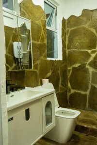 Bathroom vanity, shower and toilet at House Rhino