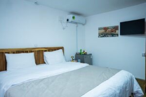 King-size bed, television, fridge and air conditioning at House Tembo