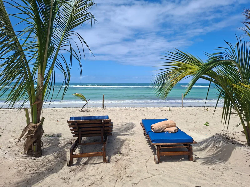 Two blue sun loungers between palm trees on the Coast Sun Gardens private beach