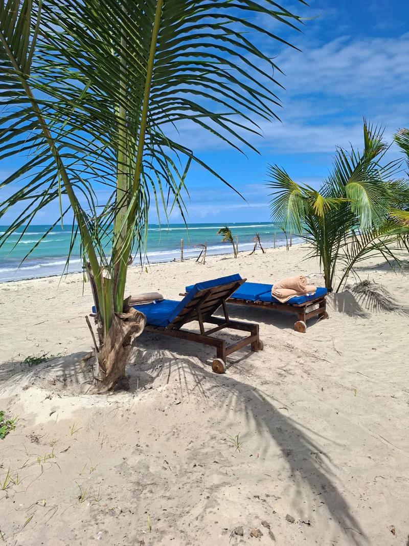 Palm-framed sun loungers beside the Indian Ocean at Coast Sun Gardens
