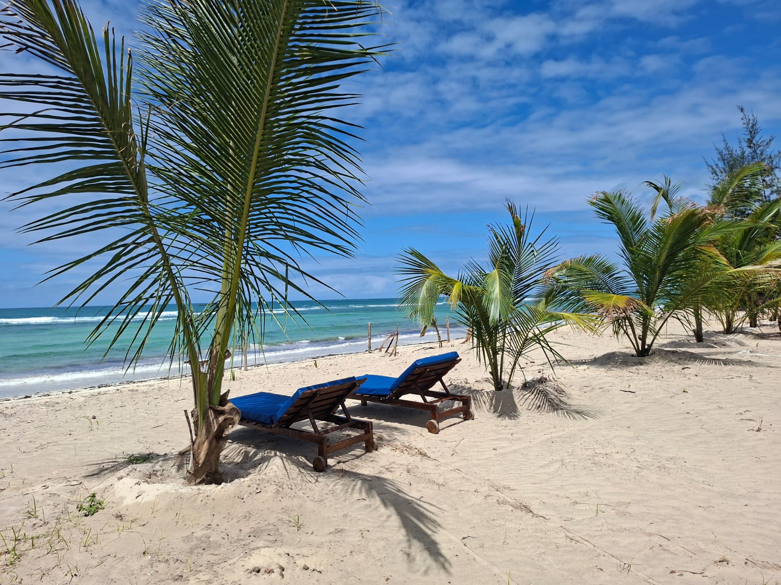 Sun loungers beneath palm trees on the Coast Sun Gardens private beach